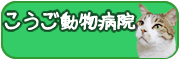 こうご動物病院