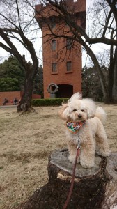 くう六道山公園