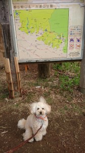 くう野山北公園