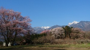 山梨合宿南アルプス