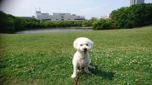 くるみ多摩センター