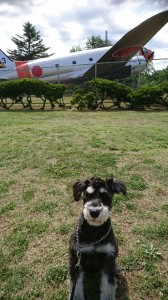 チューイ航空公園①