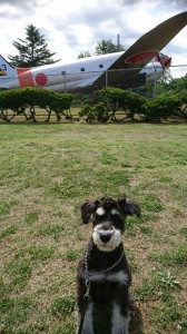 チューイ航空公園①