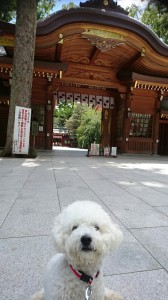 くるみ大國魂神社④