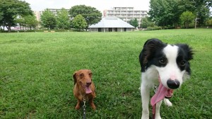 ラムココ鶴巻西公園