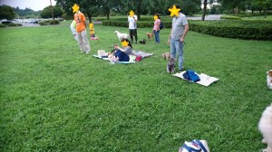 8.13合同③