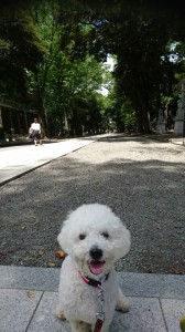 くるみ大國魂神社⑤