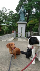 ラムココ高幡不動