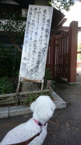 くるみ大國魂神社①