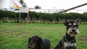 チューイ＆りき航空公園