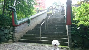 くるみ２④