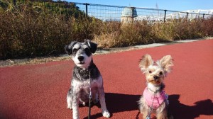ライムはる②