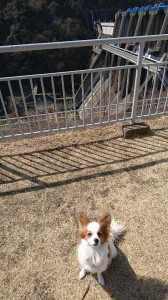 らんまる⑫