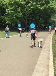 マラソン⑤