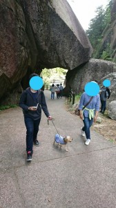 山梨⑩