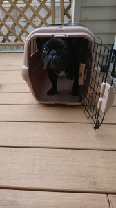 にこラム⑦