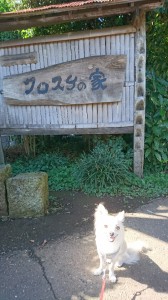 ぎん３③