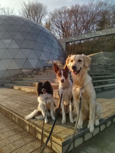KIMG0947_20250305090651