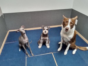 KIMG2938_20250723110136