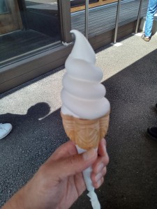 KIMG3414_20251020080922_20251020081549_20251020081650