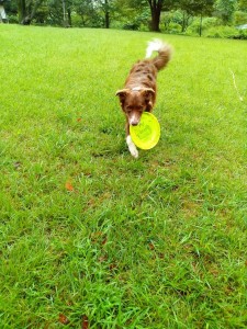 KIMG3889_20251020081219