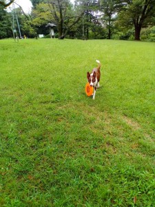 KIMG3893_20251020081228