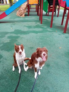 KIMG3899_20251020081140