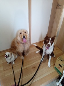 KIMG3947_20251020081221