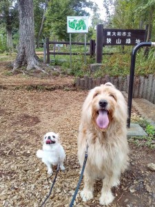 KIMG3958_20251020081225