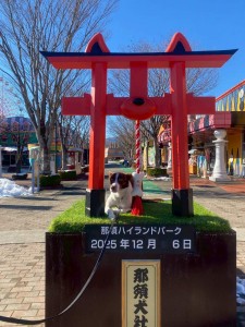 1765016789674_20251224101635