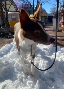 1765016803239_20251224101636