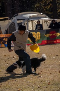 1765174049011_20251224101630