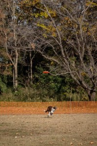 1765174231371_20251224101628