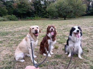 251111132736532_20251224101025