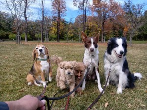 251112111649778_20251224101017