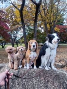 251112161304902_20251224101019