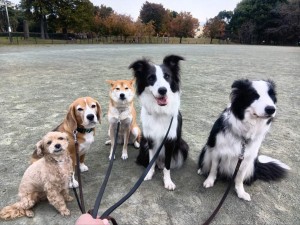 251113103736438_20251224101028