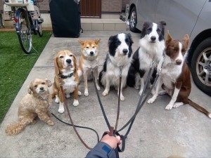 251113122848278_20251224101137