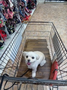 251117101055514_20251224101141