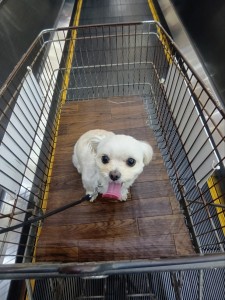 251117102658507_20251224101147