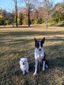 251117145613001_20251224101139