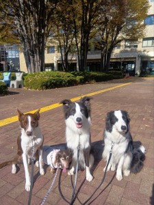 251119111611524_20251224101144