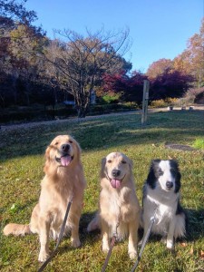 251121084024112_20251224101322