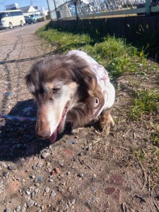 251121105636565_20251224101326