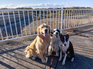 251126144705138_20251224101323