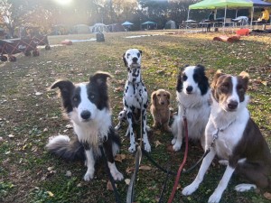 251130073502468_20251224101426