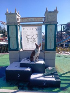 251206122007325_20251224101909