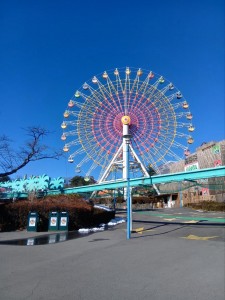 251206122727944_20251224101913