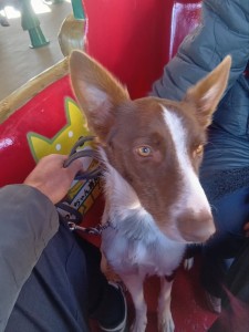 251206135314382_20251224101914