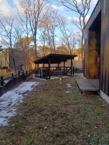 251207072136566_20251224102003